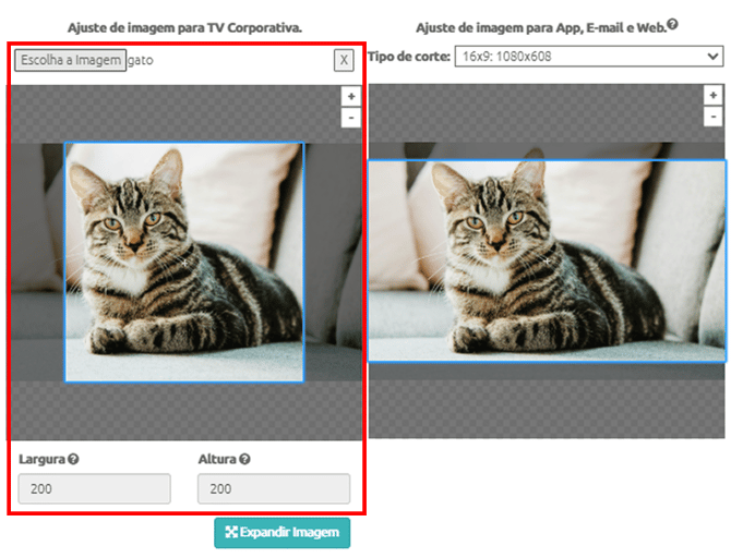 Crop em Editoria PT P2