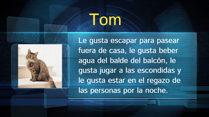 Editoria Colaborativa ES EXEMPLO